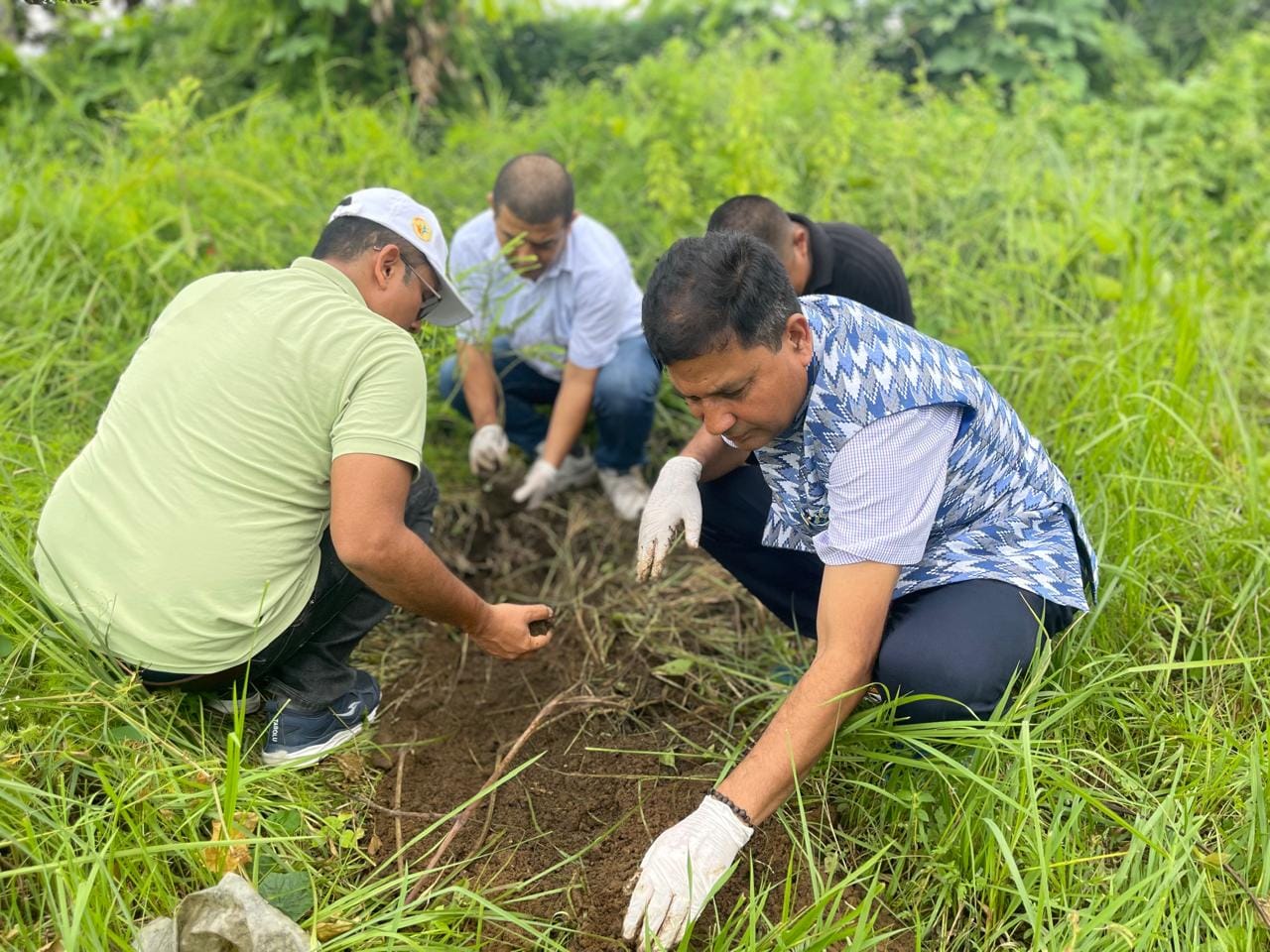 Rotary Tree Plantation Program